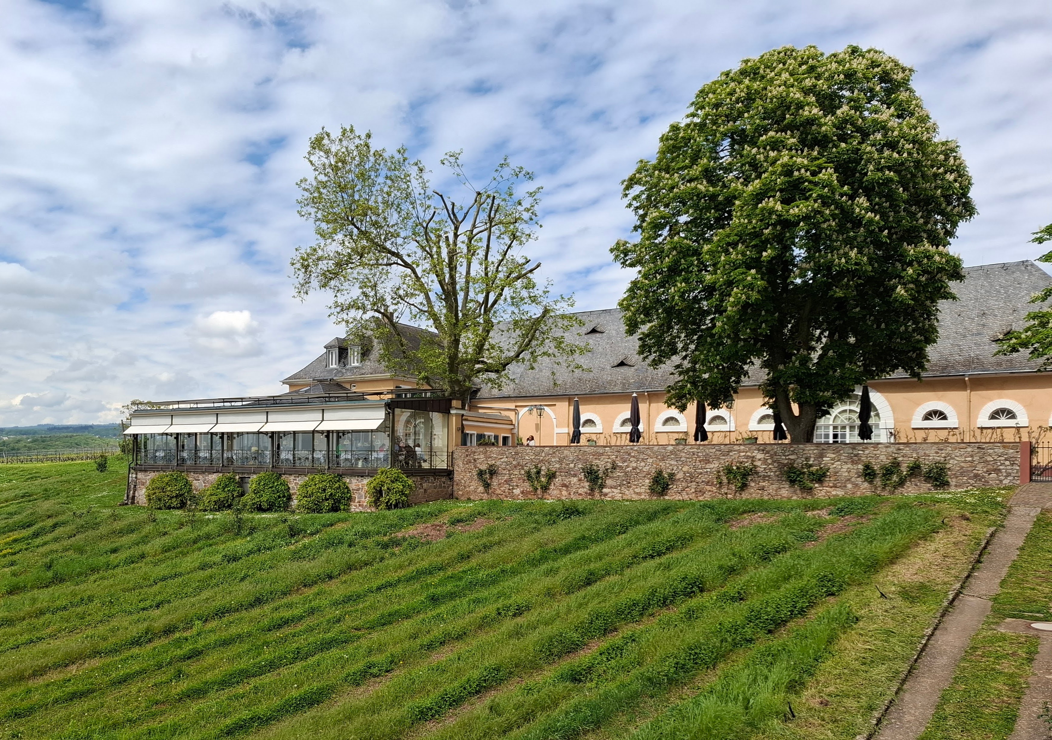 Restaurant på Schloss Johannisberg